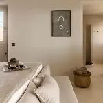 The Detailor - Tinos House Villa
