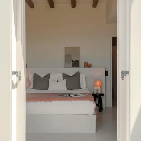 Villa The Detailor - Tinos House